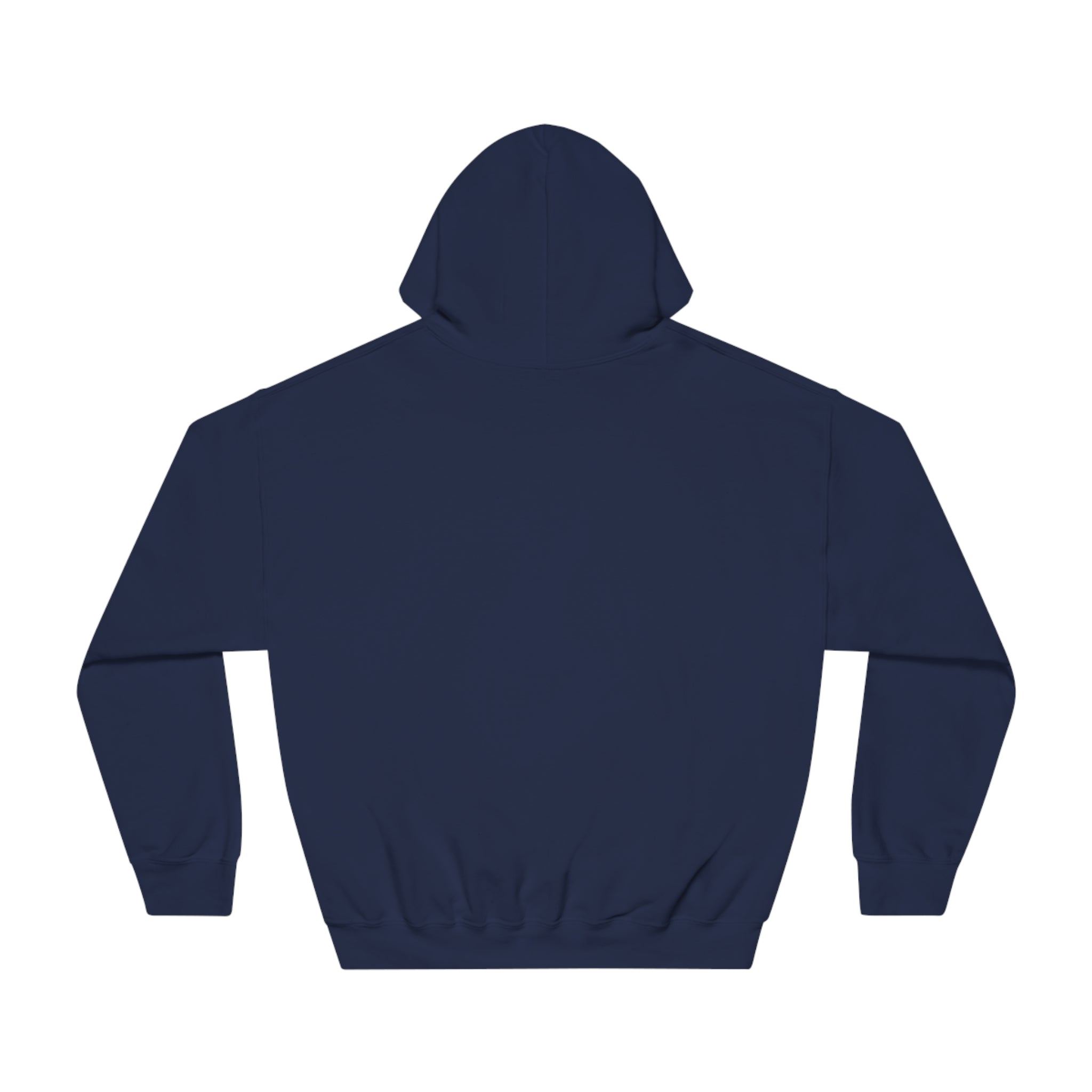 Triathlete - Master of All Three (Blue) - DryBlend® Hooded Sweatshirt - Forward Gear Athletics