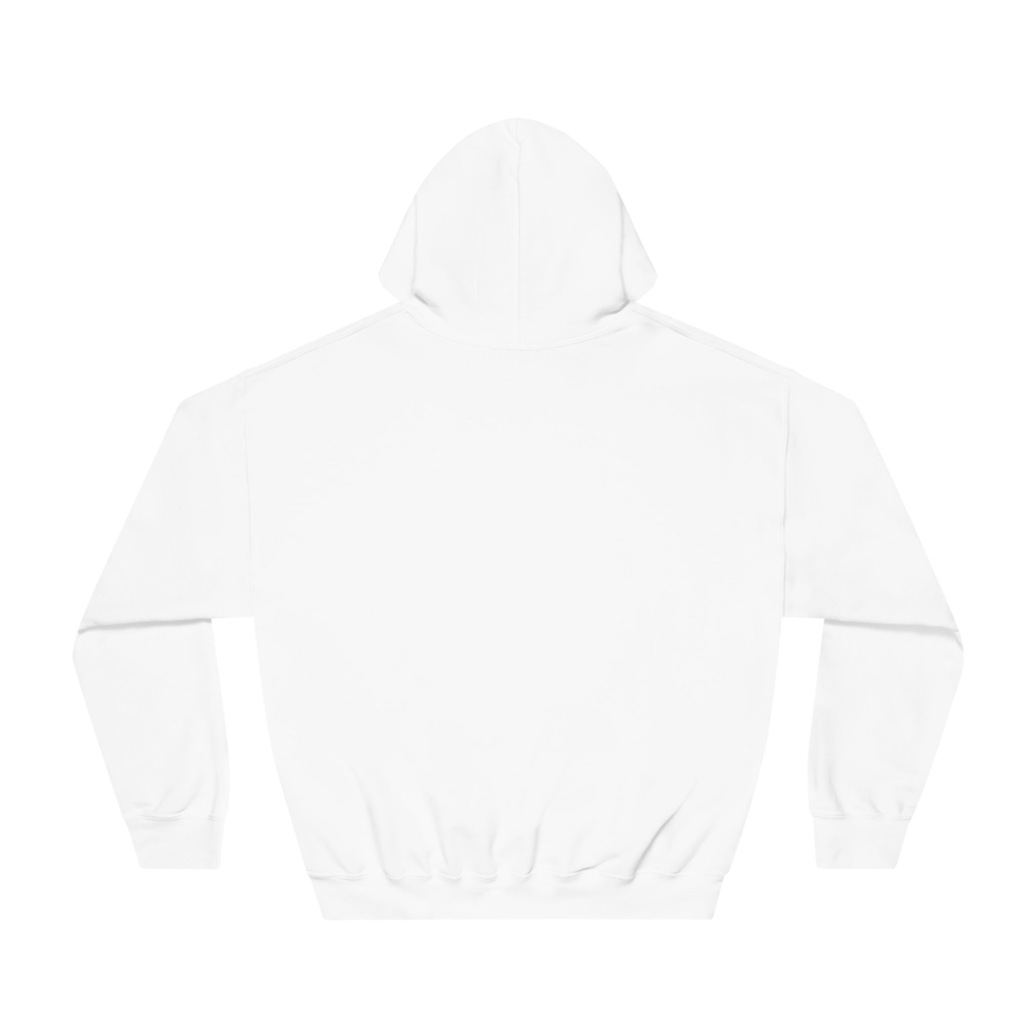 Triathlete - Master of All Three (Blue) - DryBlend® Hooded Sweatshirt - Forward Gear Athletics